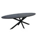 STARFURN Eettafel Eiken eettafel Ferris Ovaal 210 cm Zwart 210x100x76 cm-Eettafels-Starfurn