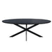 STARFURN Eettafel Eiken eettafel Ferris Ovaal 210 cm Zwart 210x100x76 cm-Eettafels-Starfurn