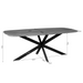 STARFURN Eettafel Elegance Zwart Deens ovaal 200x100 cm-Eettafels-Starfurn
