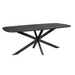 STARFURN Eettafel Elegance Zwart Deens ovaal 200x100 cm-Eettafels-Starfurn