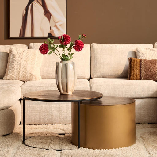 STARFURN Salontafel Luna Goud Aluminium 75 cm 75x75x45 cm-Salontafels-Starfurn
