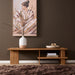 STARFURN TV-meubel Lina Naturel Mangohout 160x44 cm-TV-meubels-Starfurn