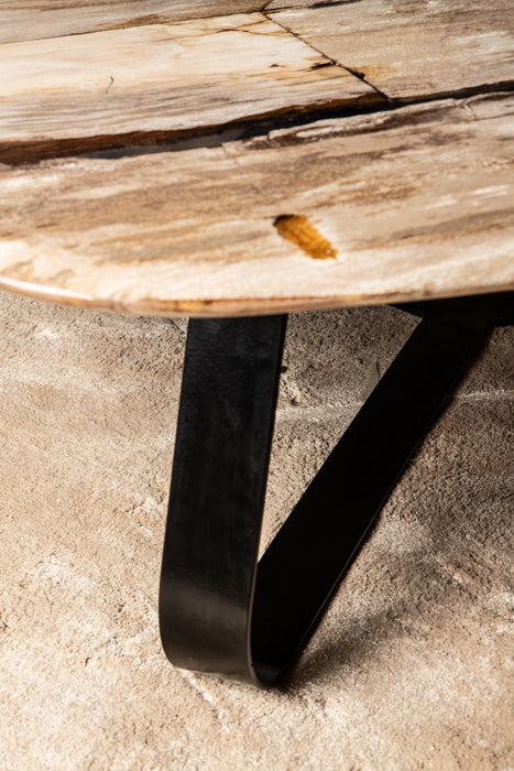 Coffee Tables Deeba Coffee Table Petrified Wood 130