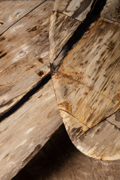 Coffee Tables Deeba Coffee Table Petrified Wood 130