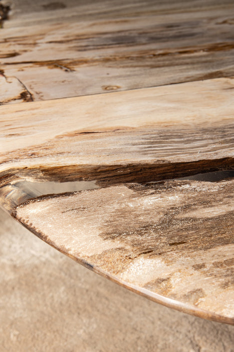 Coffee Tables Deeba Coffee Table Petrified Wood 130