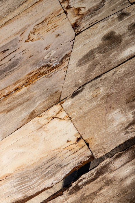 Coffee Tables Deeba Coffee Table Petrified Wood 130