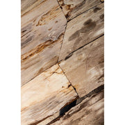 Salontafel Deeba Versteend Hout Bruin 85x130 cm-Salontafels-PTMD