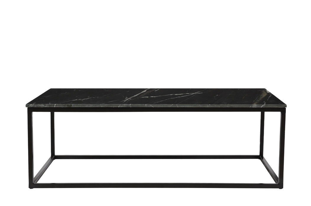 Salontafel Dion Marble Marmer Zwart 120x60 cm-Salontafels-Livingfurn