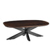 Salontafel Jesper Mangohout Bruin 120x75 cm-Salontafels-Livingfurn