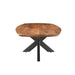 Salontafel Jesper Mangohout Naturel hout 120x75 cm-Salontafels-Livingfurn
