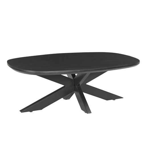 Salontafel Jesper Mangohout Zwart 120x75 cm-Salontafels-Livingfurn