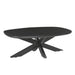 Salontafel Jesper Mangohout Zwart 120x75 cm-Salontafels-Livingfurn