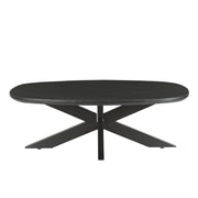 Salontafel Jesper Mangohout Zwart 120x75 cm-Salontafels-Livingfurn