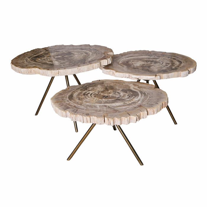 Set van drie Khine salontafels met versteend houten bladen en messingkleurige ijzeren poten.