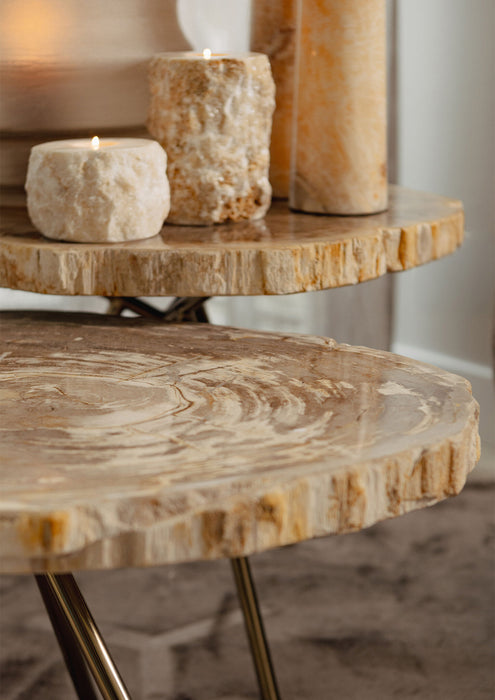 PTMD Khine salontafel van versteend hout met goudkleurig metalen onderstel, 60x50 cm.