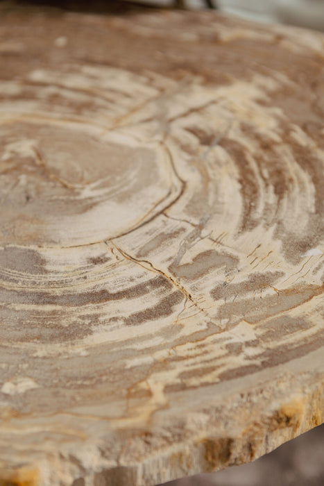 Close-up van het unieke, natuurlijke versteend hout tafelblad van de PTMD Khine salontafel met zichtbare nerven.