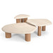 Salontafel Nuvé Naturel Mangohout 100 cm 100x90x30 cm-Salontafels-Starfurn