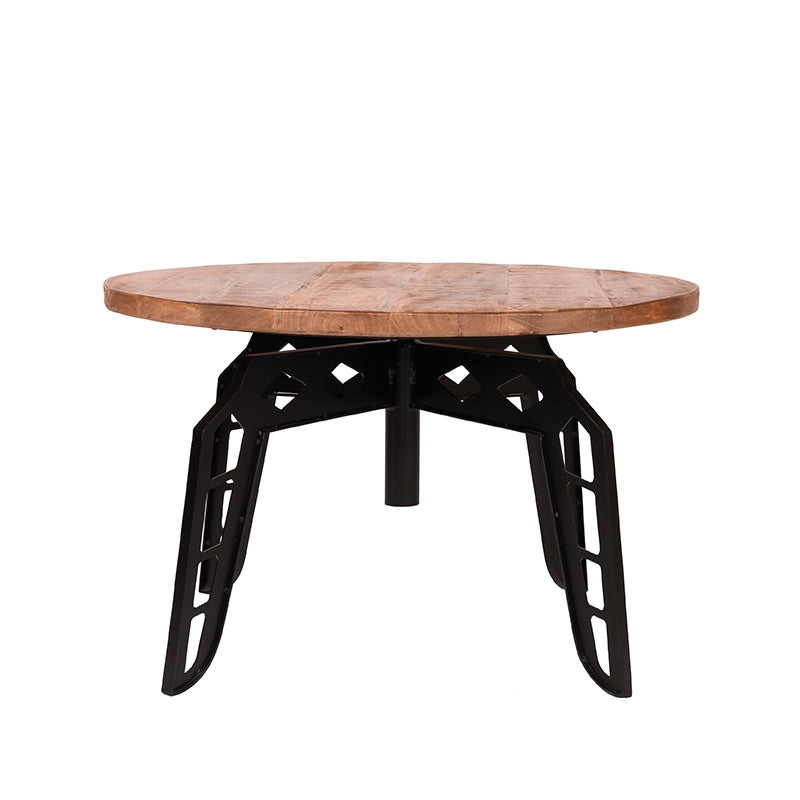 Salontafel Pebble Rough Mangohout 80 cm Rond 80x80x49 cm-Salontafels-LABEL51