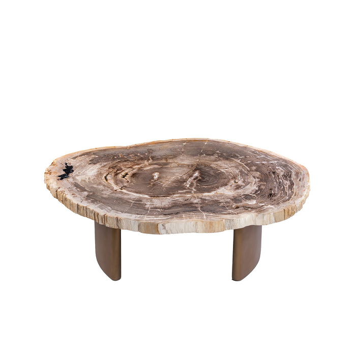 Salontafel Yoel Versteend Hout Beige-Salontafels-PTMD