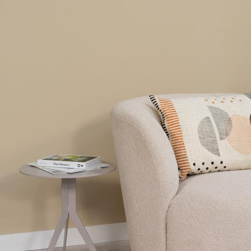 Spinder x Eva van de Ven - 1L Matte Muurverf - Thomas-Verf-Spinder