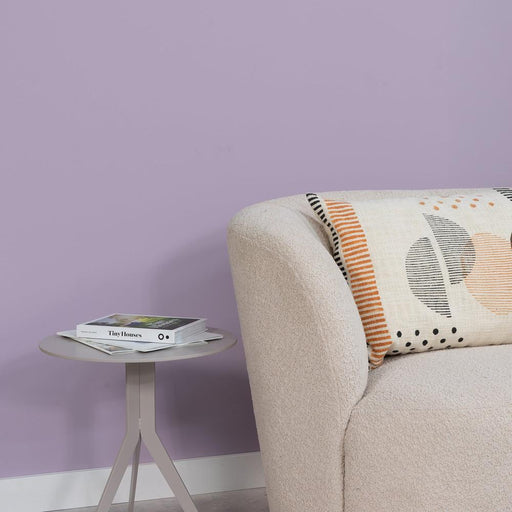 Spinder x Eva van de Ven - 2,5L Matte Muurverf - Philipa-Verf-Spinder