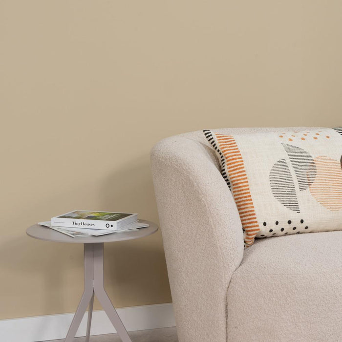 Spinder x Eva van de Ven - 2,5L Matte Muurverf - Thomas-Verf-Spinder