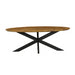 Starfurn Eetkamertafel Brandy | Ovaal | 300 cm-Eettafels-Starfurn