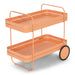 Trolly GIN & TROLLEY Staal Clay Terra 42x74x69.3cm Spinder Design-Opbergkasten-Spinder