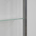 Wandplank Wandrek CUBIC 11 Staal Nikkel Helder Glas 46x13x167cm-Wandplanken-Spinder