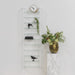 Wandrek CUBIC 11 Staal Wit Helder Glas 46x13x167cm Spinder Design-Wandplanken-Spinder