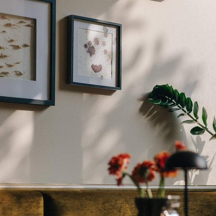 x Eva van de Ven - 2,5L Matte Muurverf - Liv Spinder Design-Verf-Spinder